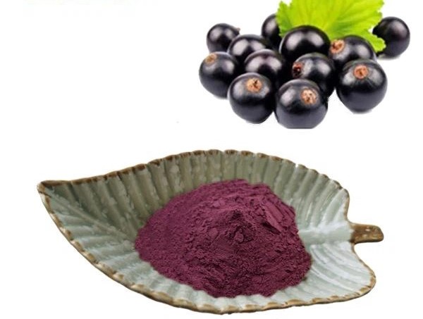 Čileanske bobice Maqui