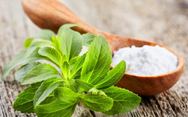 Stevia - zdravi prirodni zaslađivać u Green Coli