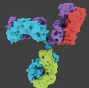 Tegoprubart: novi imunosupresiv i sigurnije transplantacije kod dijabetesa